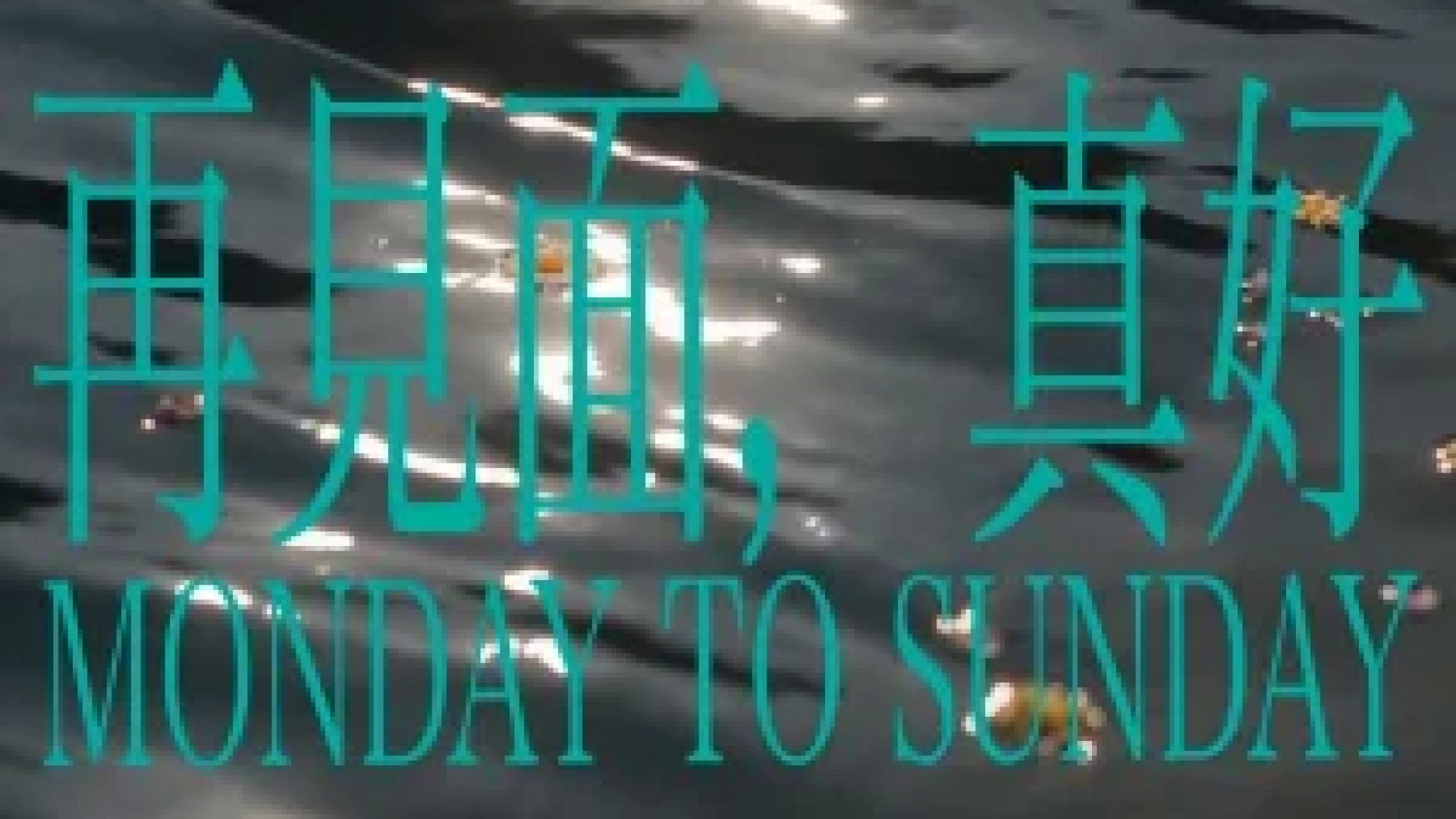 完美日记宣传片