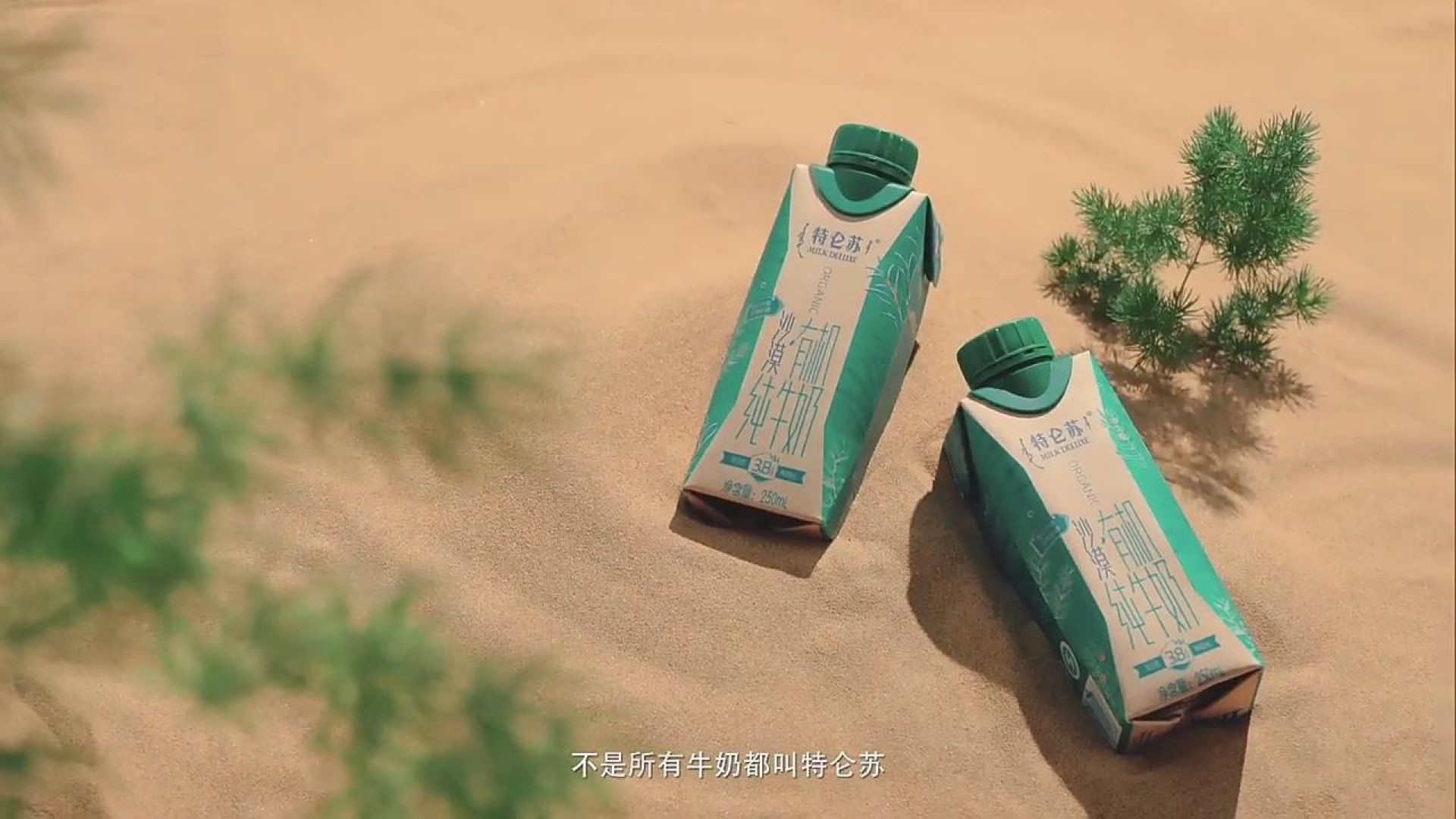 特仑苏有机奶沙漠篇