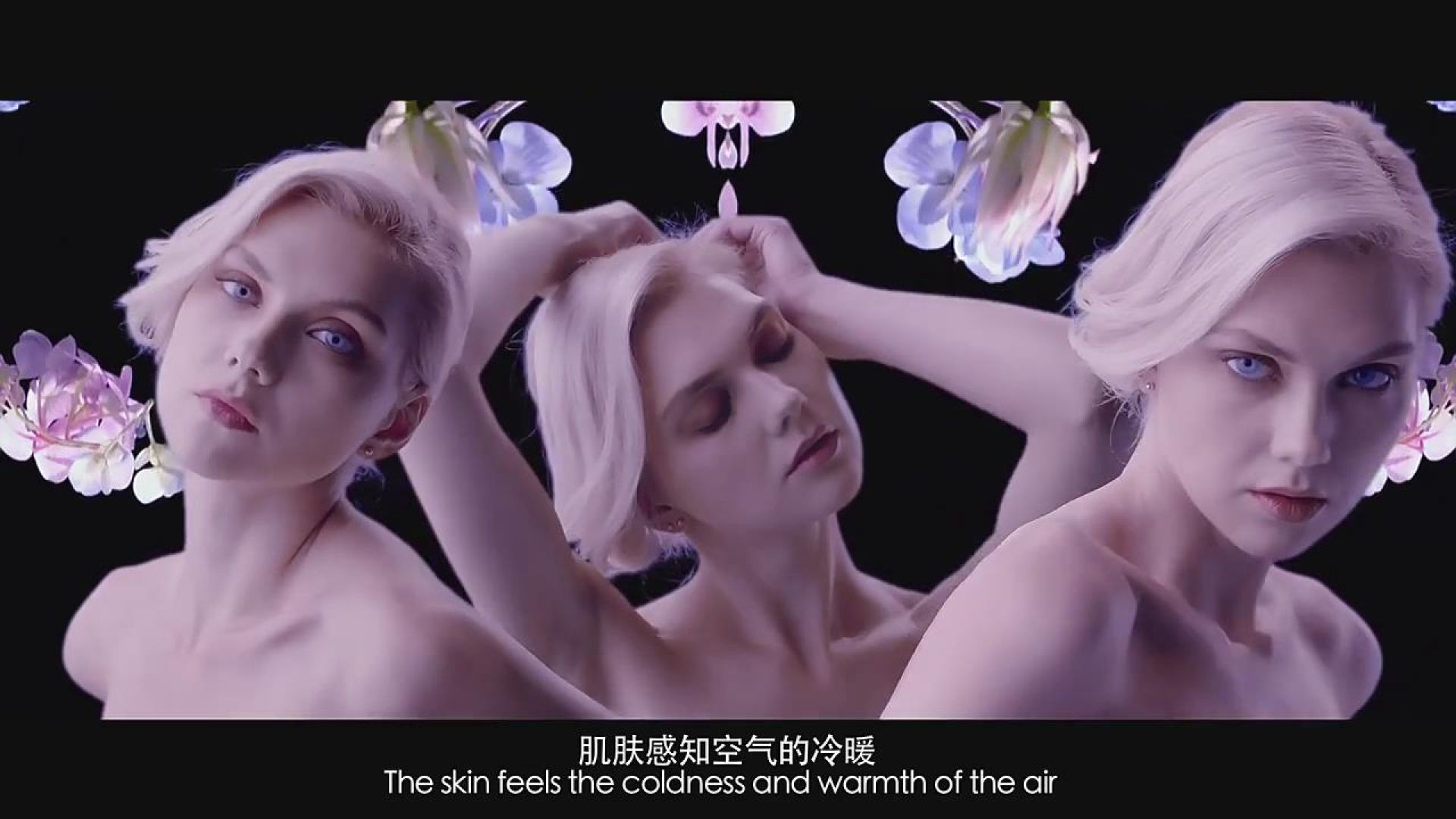 一个化妆品广告