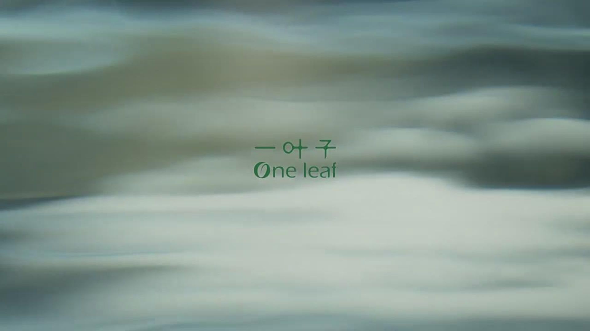 ⁣一叶子广告